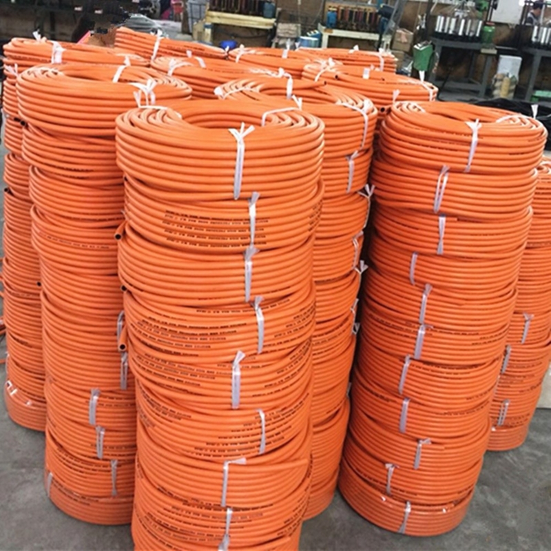 Flessibile Orange 50ft/100ft resistente all'usura W. P 20bar 10mm Orange Gas Hose LPG