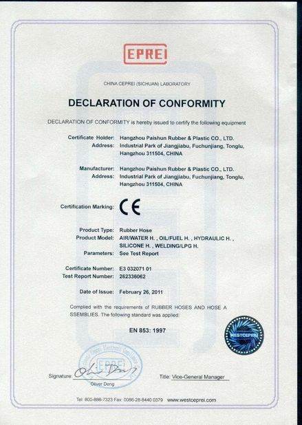 Porcellana Hangzhou Paishun Rubber &amp; Plastic Co., Ltd Certificazioni
